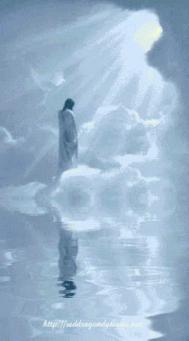 a man looking at soing while standing on water