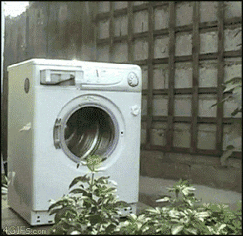 a washing machine outside near some plants