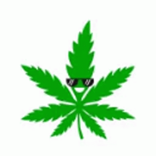 a marijuana leaf with sunglasses on it's head