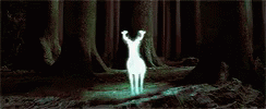the image is of a creature standing in the dark with their hands up