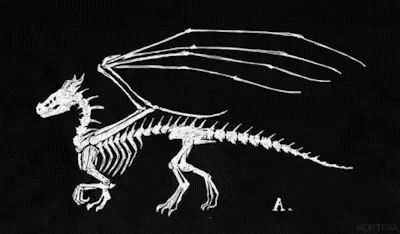 a white dragon skeleton and a black background