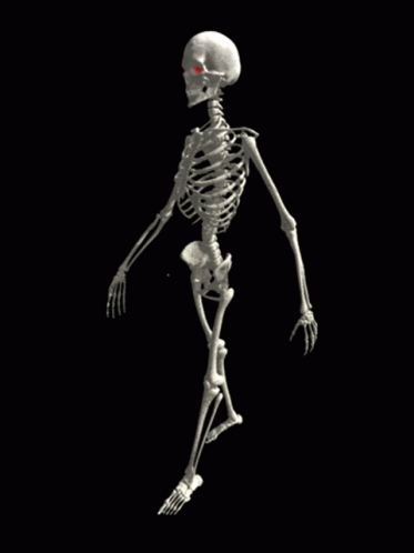 the skeleton is walking in the dark