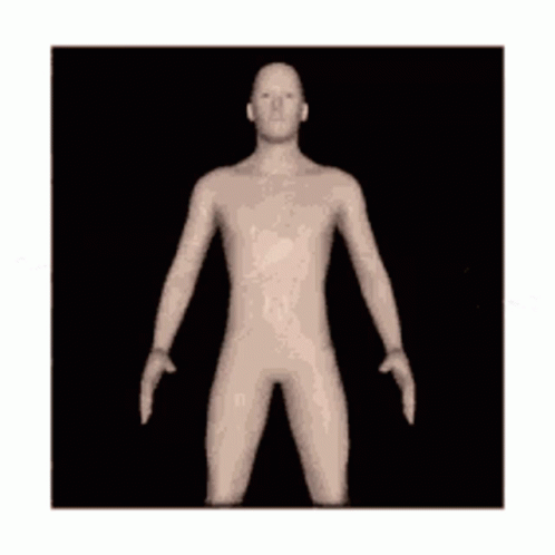 an image of a computer generated body with  and short legs