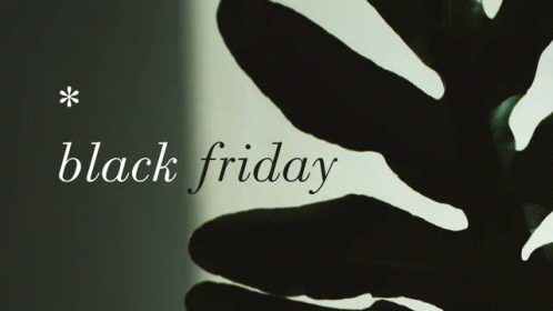 a black friday poster with a black plant in the background