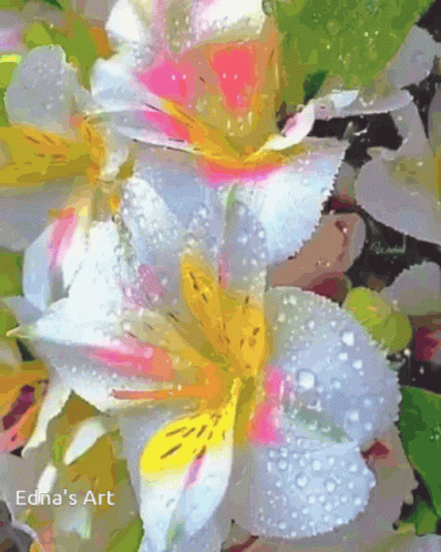 some flowers are shown with water drops on them