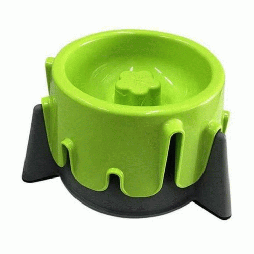 a small green pet bowl sits in a stand