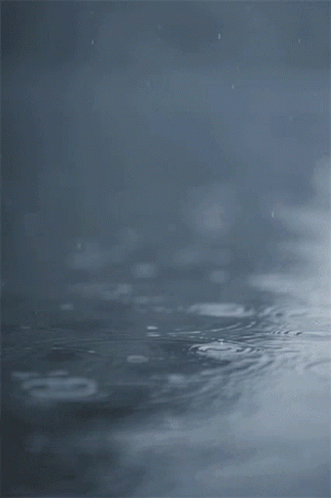 water drops with a gray background