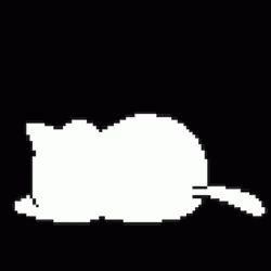 white cat silhouette on black with space for text