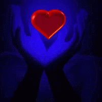 hands holding a heart with a dark red background