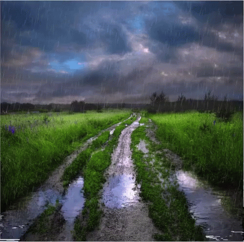 a muddy road with grass and bushes in the foreground