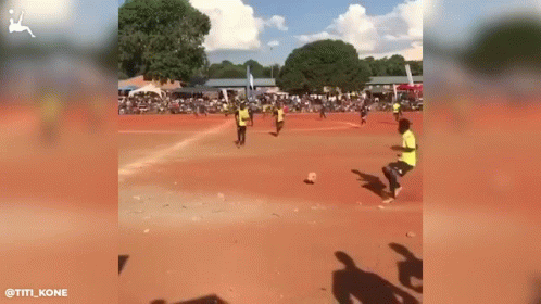 there are people running and playing soccer