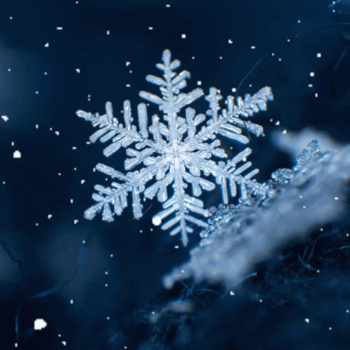 a snowflake in a dark snowy field