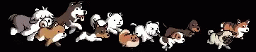 a black background with many animated dogs