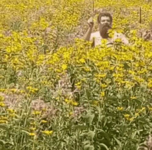 man in the middle of the blue flowered field holding up soing