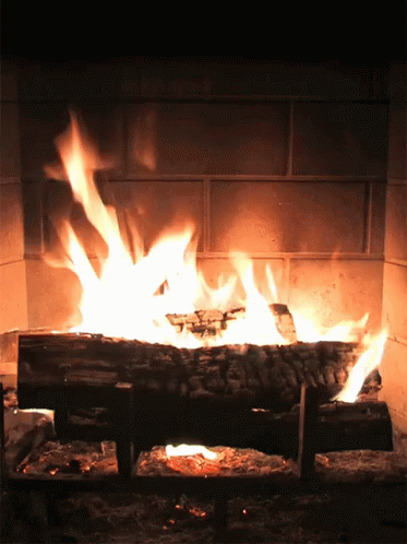 a fire burns brightly in a fireplace