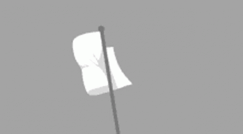 a grey sky with white flag and black pole
