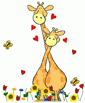 two giraffes standing side by side in a field