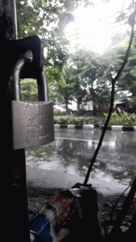 a padlock attached to a tree on a rainy day