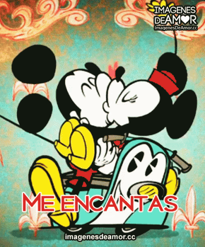 the cover to meenanta's album with mickey and goofy