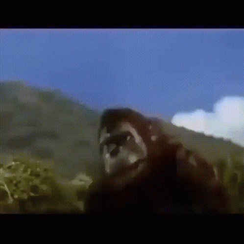 a monkey is walking in front of mountains and trees