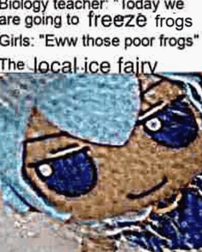 a funny joke with a text box that says, biology teacher today we are going to freeze frogs