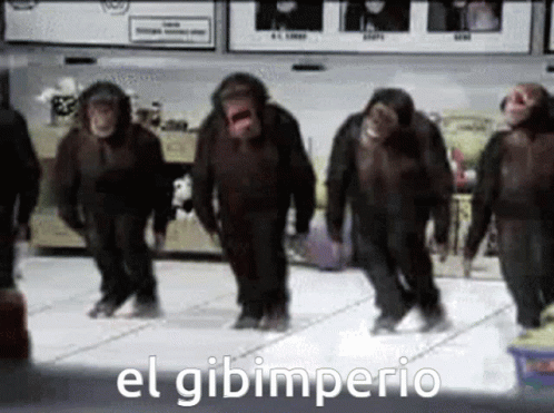 four gorillaes are walking around the store