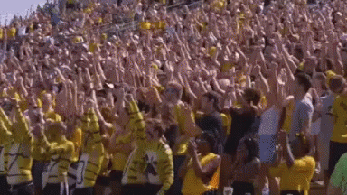 a crowd of people with arms and hands in the air