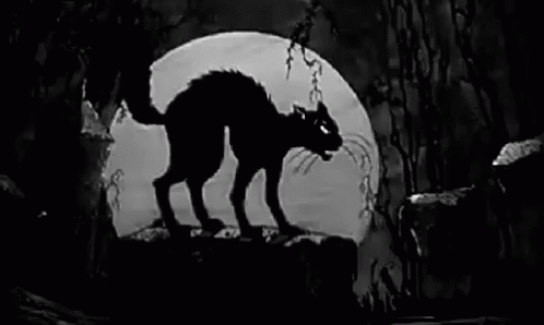 the lion from disney's'jungle kingdom'is standing on a rock in front of a full moon