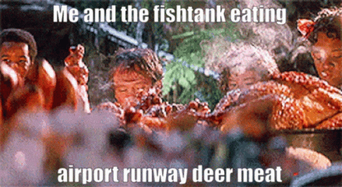 the words, me and the fishtank eating airport runway deer meat