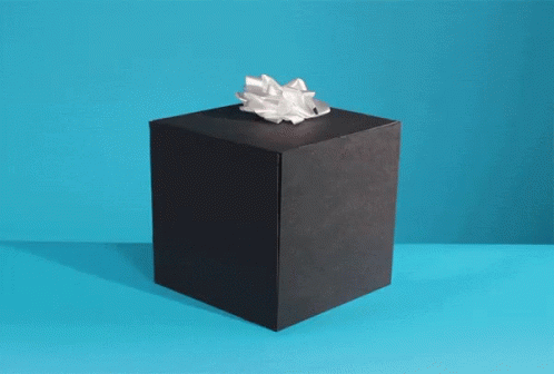 an empty black box with tissue paper in it