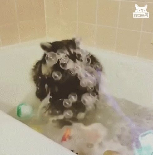 soap balls are floating in a bath tub