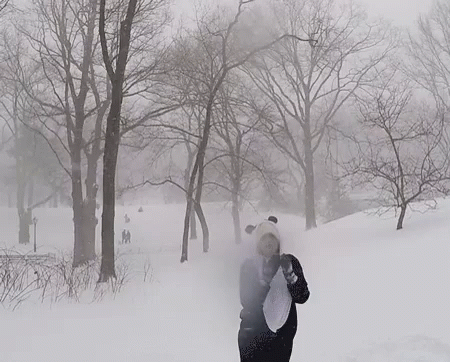a person is walking in the snow holding a snowboard