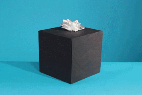 an empty black box with tissue paper in it