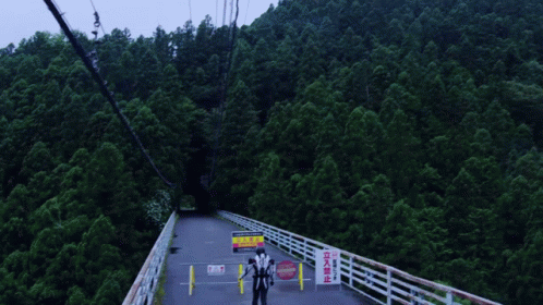 a man standing on a suspension bridge with mountains in the background