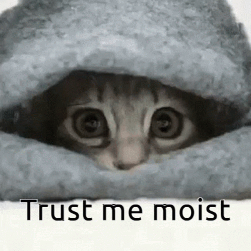 a cat peeking out from a blanket that says trust me moiist