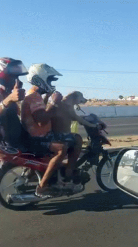 several people riding down the road on a motorcycle