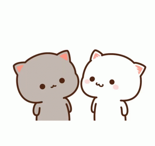 two cats, one grey and one white, in different color combinations