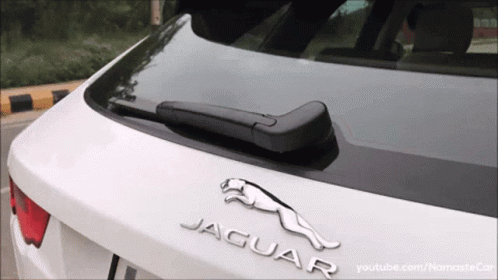 an image of a jaguar car hood ornament on the hood
