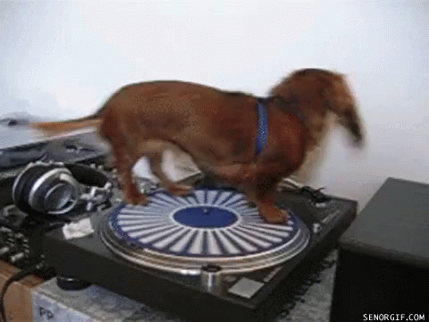 a blue dog is playing a record player