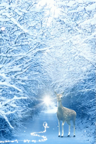 the po is of a deer and snow covered trees