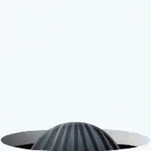 a po that shows a black dome with a white top