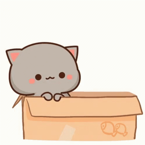 a little cat in a box looks sad