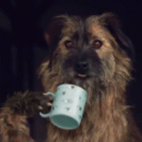 a dog with blue eyes holding a coffee cup