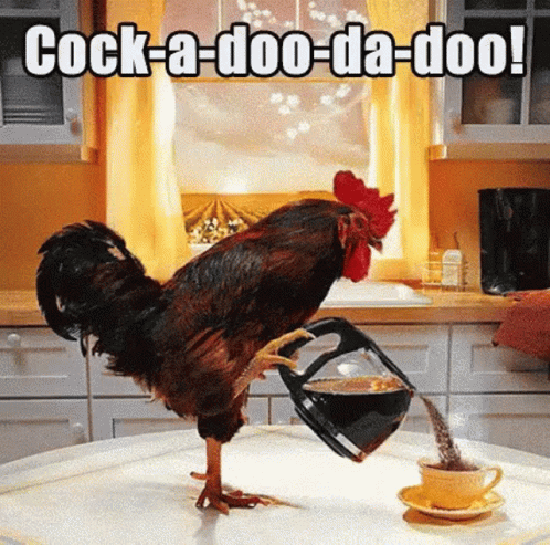 a chicken is on the kitchen counter drinking some tea