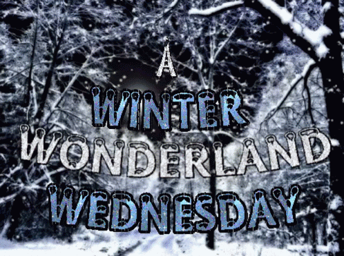 an image of winter wonderland wednesday sign with a snow covered forest