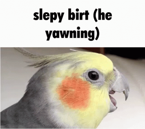 a close up of a bird with a text