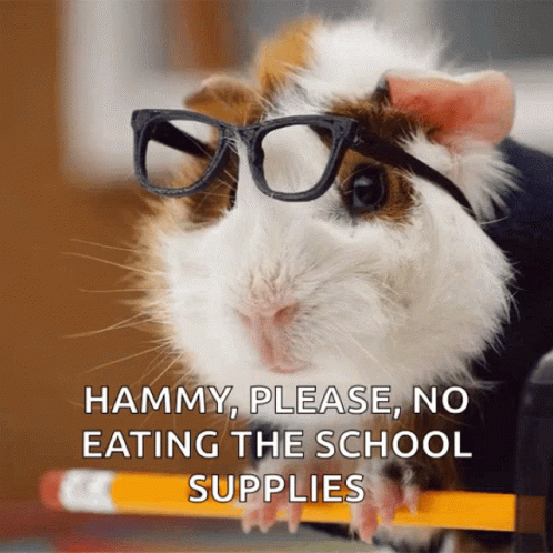 a hammy cat is standing on a desk with eye glasses