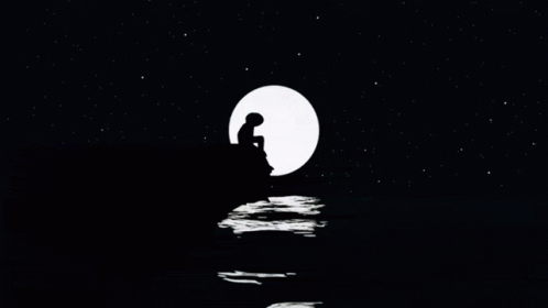 a person sitting on a rock near the water while staring at the full moon