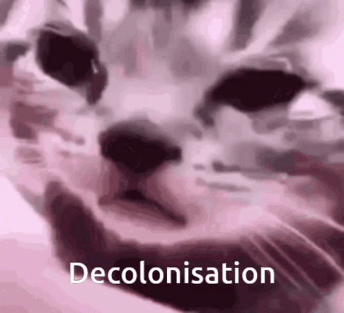 a blurry image of a cat has the word decolontation over it