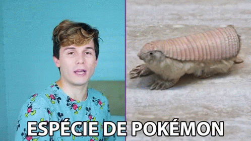 a collage of pos containing an armadile and the caption ` especi de pokemon '